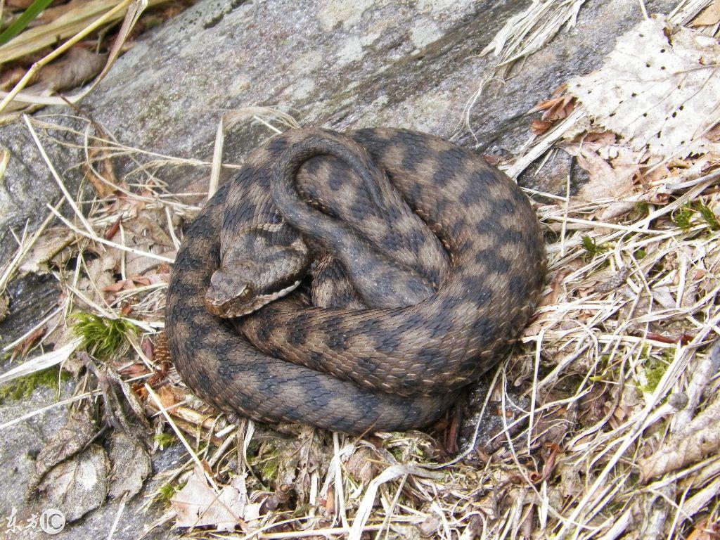 吉林胜景，人文荟萃，诗意古风述之