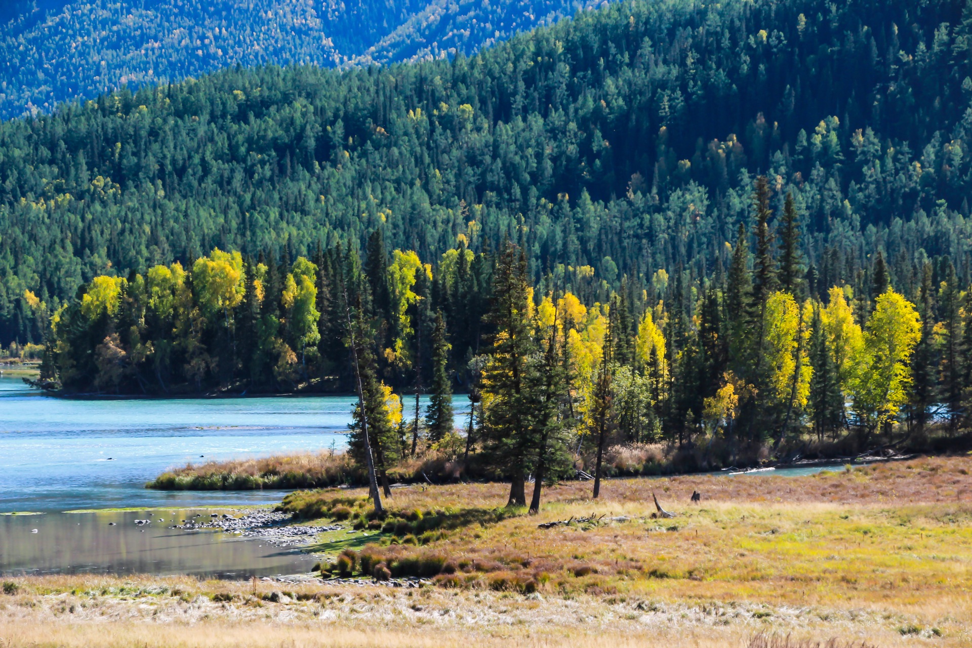 新疆，地理、历史、文化与现状概览